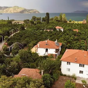 https://soul-green.aegeanhotels.net